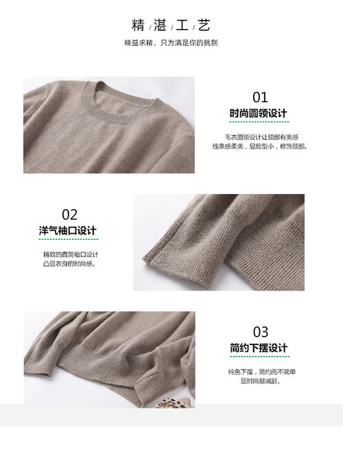施悦名 2020秋冬新款精品女装针织羊毛上衣100 纯山羊绒打底衫圆领套头衫a